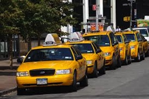 yellow cabs.jpg