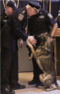 "Augie" receives a diploma from the MTA Police