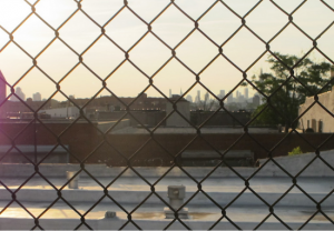 A view of Bushwick through this fence.