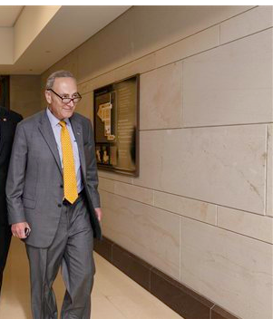 Chuck Schumer and others would love the national convention in Brooklyn
