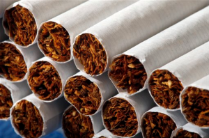 Displayed for a photograph is cigarette tobacco