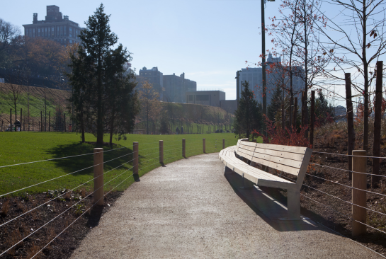 Brooklyn Bridge Park (BBP) is home to many diverse activities