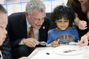 Bill de Blasio works on a science project with pre-K pupil Justin De La Cruz during a visit to a pre-K class at P.S.1 in New York City. AP Photo/New York Daily News, Susan Watts, Pool, File