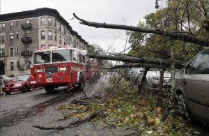 A fire truck passes a tree that has fallen across parked cars in Brooklyn the morning after Superstorm Sandy struck in October of 2012.The city's chief fiscal officer on Sunday accused his city of endangering residents by mismanaging the program to maintain the 650,000 trees lining streets. Comptroller Scott Stringer says contractors hired to care for the urban greenery have pruned trees that didn’t need it and neglected those that required attention. There are also questions about charges and record-keepin