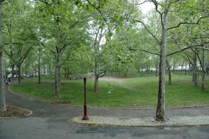 Cadman Plaza Park's walking paths.
