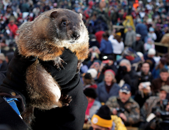 The groundhog that fell from Mayor Bill de Blasio’s hands this past Groundhog day reportedly died a week later.