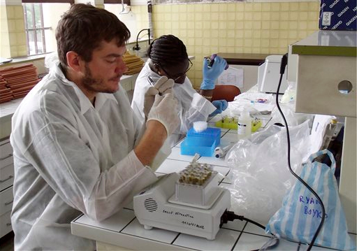 Doctors work on a cure for Ebola. AP Photo/Julia Randall