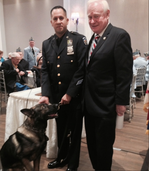 Caesar the dog served three tours of duty in Afghanistan. His handler, NYPD Transit Police Officer Peter Rodriguez, told state Sen. Marty Golden the dog is an incredible asset. Photos courtesy Golden's office