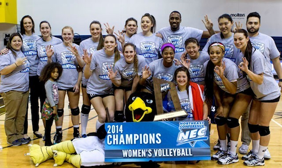 For the third straight year and ninth time in 11 seasons, the LIU-Brooklyn women’s volleyball team is headed to the NCAA Tournament. Photo courtesy of LIU-Brooklyn Athletics