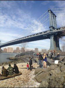 Such bliss to see the sun shining by the shore at Brooklyn Bridge Park. Eagle photos by Lore Croghan
