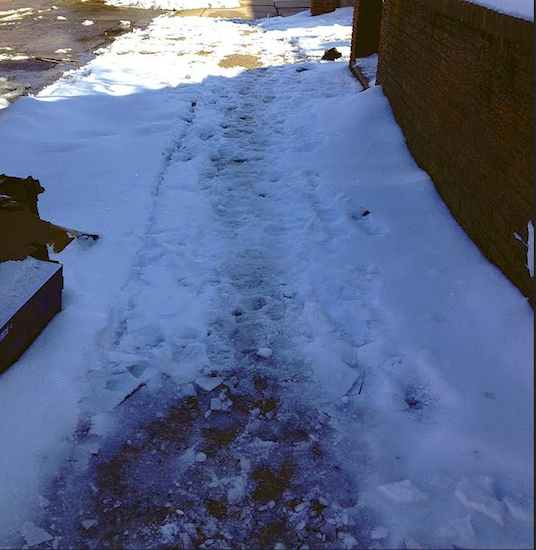 Community Board 10 District Manager Josephine Beckmann says many homeowners are not living up to their responsibility of clearing snow and ice off their sidewalks. The photo shows a sidewalk in Dyker Heights. Used with permission from photographer
