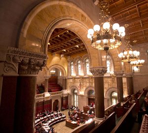 Brooklyn gets more money for education, economic development and a new hospital in the just-approved state budget, but many lawmakers were disappointed overall.