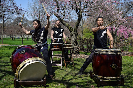 Traditional taiko drumming was used in religious ceremonies or to send signals during battles. Today, it is used to signal to Brooklynites that one of the most exciting and colorful festivals is taking place at the Brooklyn Botanic Garden. Eagle photos by Rob Abruzzese