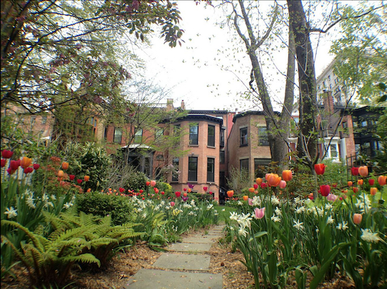 Spring has sprung in Brooklyn Heights, as you can see on Grace Court. Eagle photos by Lore Croghan