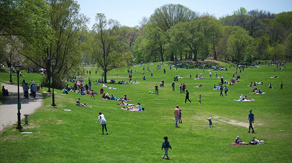 Could there be a better place to study? Photo courtesy of Prospect Park Alliance