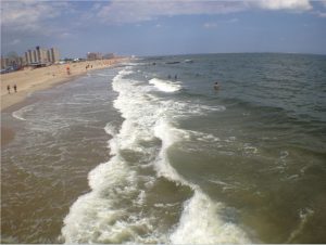 If you love the ocean as much as we do, this is the Coney Island photo you most want to see. Eagle photos by Lore Croghan