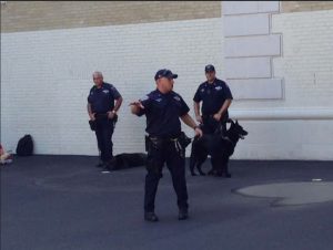 Cops show how the NYPD’s K-9 Unit dogs perform their duties. Photo courtesy office of Assemblymember Nicole Malliotakis