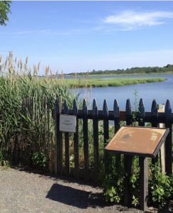 Welcome to Marine Park, where this nature preserve is a neighborhood treasure. Eagle photos by Lore Croghan
