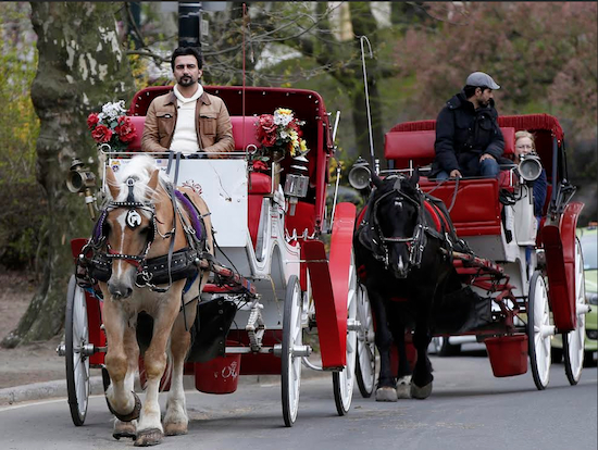 In this file photo, horse-drawn carriages take riders around Central Park. Hip-hop mogul and animal-rights advocate Russell Simmons spoke Thursday at an event organized by horse carriage opponents and urged New York Mayor Bill de Blasio to follow through on his campaign promise to ban the horse carriages. AP Photo/Kathy Willens, File