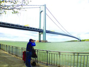 The promenade, which sits in the shadow of the majestic Verrazano-Narrows Bridge, is a popular place for pedestrians, bike riders, and those who want to capture the beauty of the waterfront with cameras.
