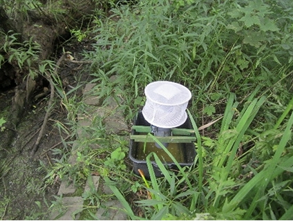 Mosquitoes infected with dangerous West Nile Virus have been caught, in the past, in traps like these set up Prospect Park. Eagle file photo by Anne-Katrin Titze