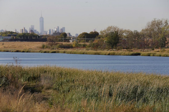 This Oct. 20 photo shows a view of Manhattan from the Paerdegat Basin in Canarsie. AP Photo/Mary Altaffer