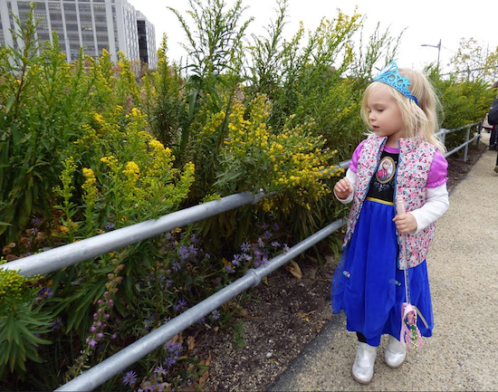 On Saturday, Brooklyn Bridge Park opened the 3.5-acre meadows and lawns at Pier 6 during the Park Conservancy's sixth annual Harvest Festival. The new section is planted with an array of native plants and trees and provides spectacular views of the New York Harbor. Shown: A young girl dressed as a character from "Frozen" studies the newly opened Pier 6 meadow. Eagle photo by Mary Frost