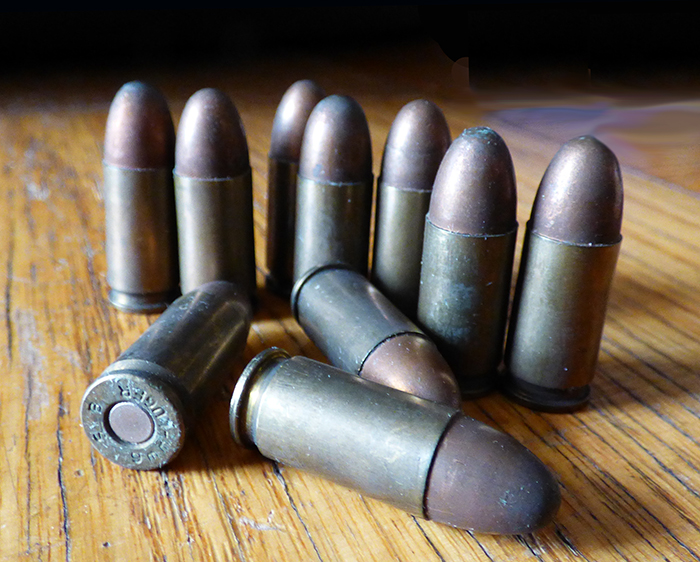 State lawmakers from Brooklyn announced on Monday new legislation aimed at tightly restricting the sale of ammunition in New York.  Eagle photo by Fay Storrm