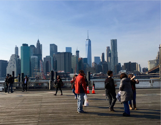 Welcome to Brooklyn Bridge Park. Eagle photos by Lore Croghan