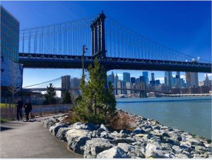 For Brooklynites in search of photogenic scenery, the most compelling reason to head for Jay Street is its direct access to this recently-opened section of Brooklyn Bridge Park. Eagle photos by Lore Croghan