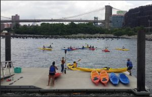 Last summer, students were given the opportunity to go kayaking and seining off Brooklyn Bridge Park. Photos courtesy of St. Francis College
