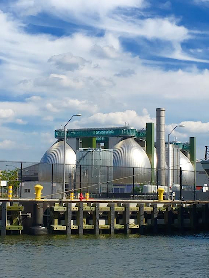 Did you know there's a Greenpoint nature walk that affords views of  the Newtown Creek Wastewater Treatment Plant's digester eggs? Eagle photos by Lore Croghan