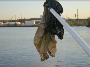 Plastic bags are lifted out of the water. Photo by John Lipscomb