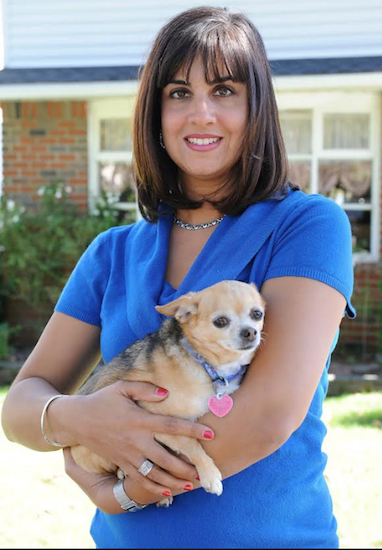 Assemblymember Nicole Malliotakis adopted her pet Chihuahua, Peanut. Photo courtesy of Malliotakis’ office