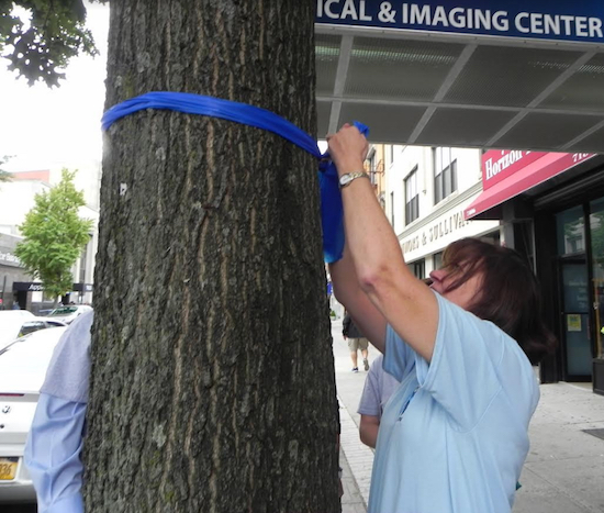 Carmen Shouldis ties a blue ribbon around a tree outside the office shared by state Sen. Marty Golden and Assemblymember Nicole Malliotakis at 7408 Fifth Ave. on Tuesday. Eagle photos by Paula Katinas
