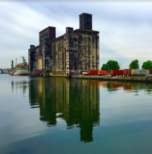 Behold the picturesque Red Hook Grain Terminal, one of many fine sights on Red Hook's shoreline. Eagle photos by Lore Croghan