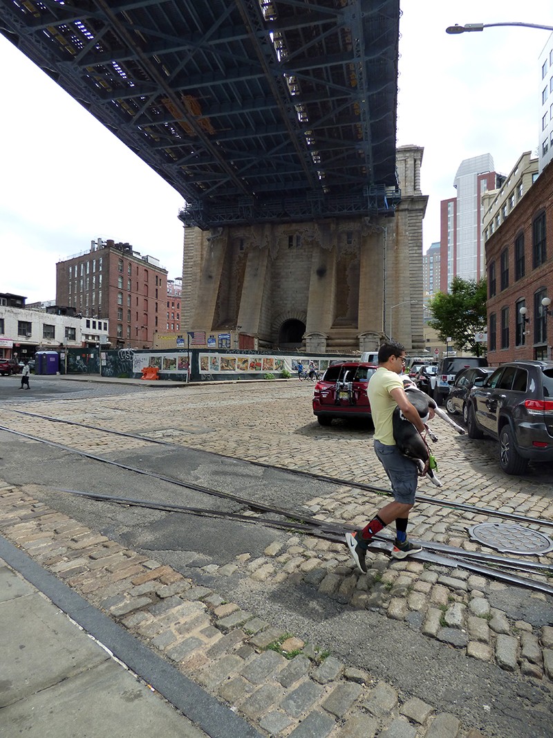 A man carries his dog over the irregular surface of Plymouth Street. The Manhattan Bridge looms overhead. Photo by Mary Frost