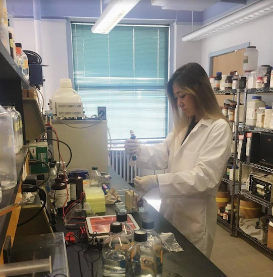 Graduate student Nini Fan, pictured hard at work in the lab, came up with the concept for the university’s ambitious project. Photo courtesy of LIU Brooklyn