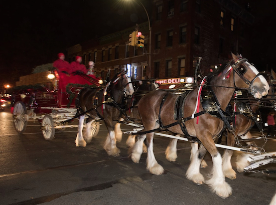 After a pause to deliver a case of beer and rest the team, the Budweiser wagon and Clydesdales head for Prospect Park and back to their trailers. Eagle photos by Andy Katz