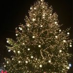 Downtown Brooklyn’s Christmas tree is a whopping 55 feet tall and is only one foot less in width than Rockefeller Center’s tree. Eagle file photo