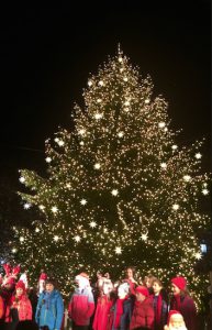Downtown Brooklyn’s Christmas tree is a whopping 55 feet tall and is only one foot less in width than Rockefeller Center’s tree. Eagle file photo
