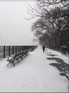Grayson has landed at the Brooklyn Heights Promenade. Eagle photo by Francesca Norsen Tate