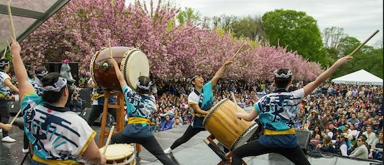 Drummers perform at a past Sakura Matsuri. Photos courtesy of Brooklyn Botanic Garden