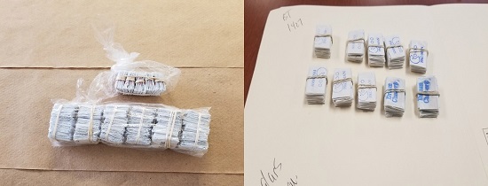 Bundled glassines of the drugs sold in this case, visibly adorning their stamp names. Photos courtesy of the NYPD