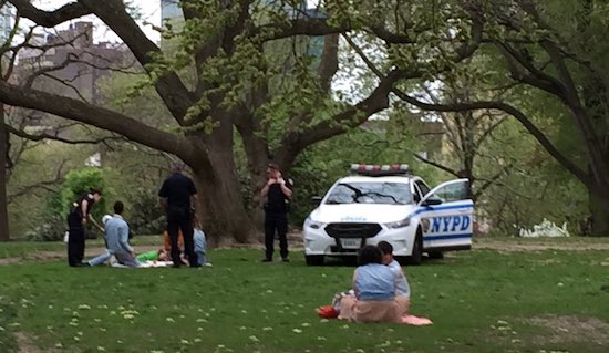 Cops busted a quartet of wine drinkers in Fort Greene Park on Saturday.