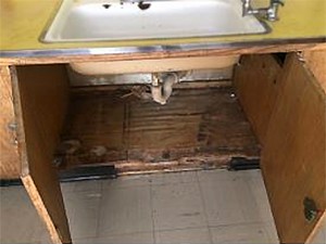 Park Slope residents voted to replace sinks in P.S. 282’s kindergarten classrooms. Photo courtesy of P.S. 282