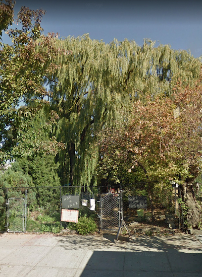The historic willow tree in Weeksville. Image © 2018 Google Maps photo