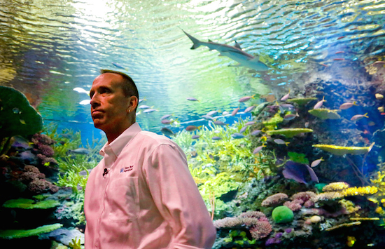 Jon Dohlin, director of the New York Aquarium, listens during an interview inside an underwater tunnel that features a coral reef ecosystem with sharks at the New York Aquarium, Wednesday June 20, 2018, in New York. The tunnel is featured in the aquarium's new "Ocean Wonders: Sharks!" exhibition, scheduled to open June 30. AP Photo/Bebeto Matthews