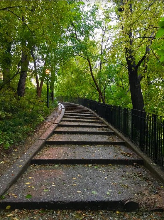 An inviting staircase heads up a hill in Shore Park near the Verrazzano-Narrows Bridge. 