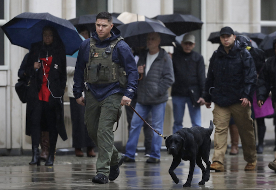 A K-9 team walks past people waiting to enter Brooklyn federal court, Tuesday. Opening statements at the trial of the notorious Mexican drug lord Joaquin "El Chapo" Guzman are to begin Tuesday morning under tight security. The evidence will include the testimony of more than a dozen cooperating witnesses who prosecutors say are risking retribution by taking the stand. AP Photo/Mark Lennihan